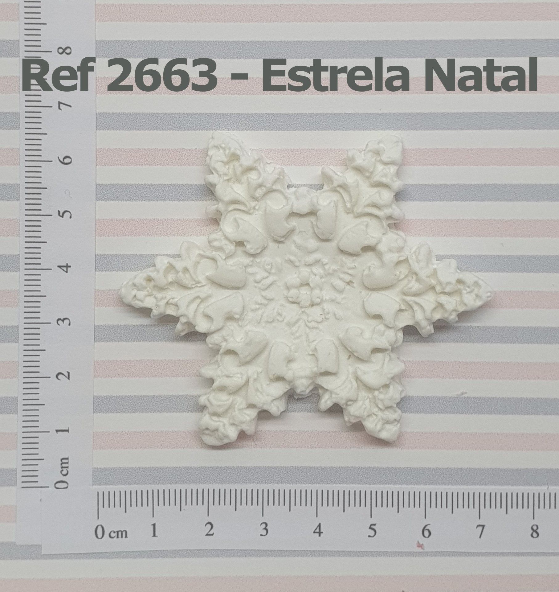 2663 Estrela Natal (2)