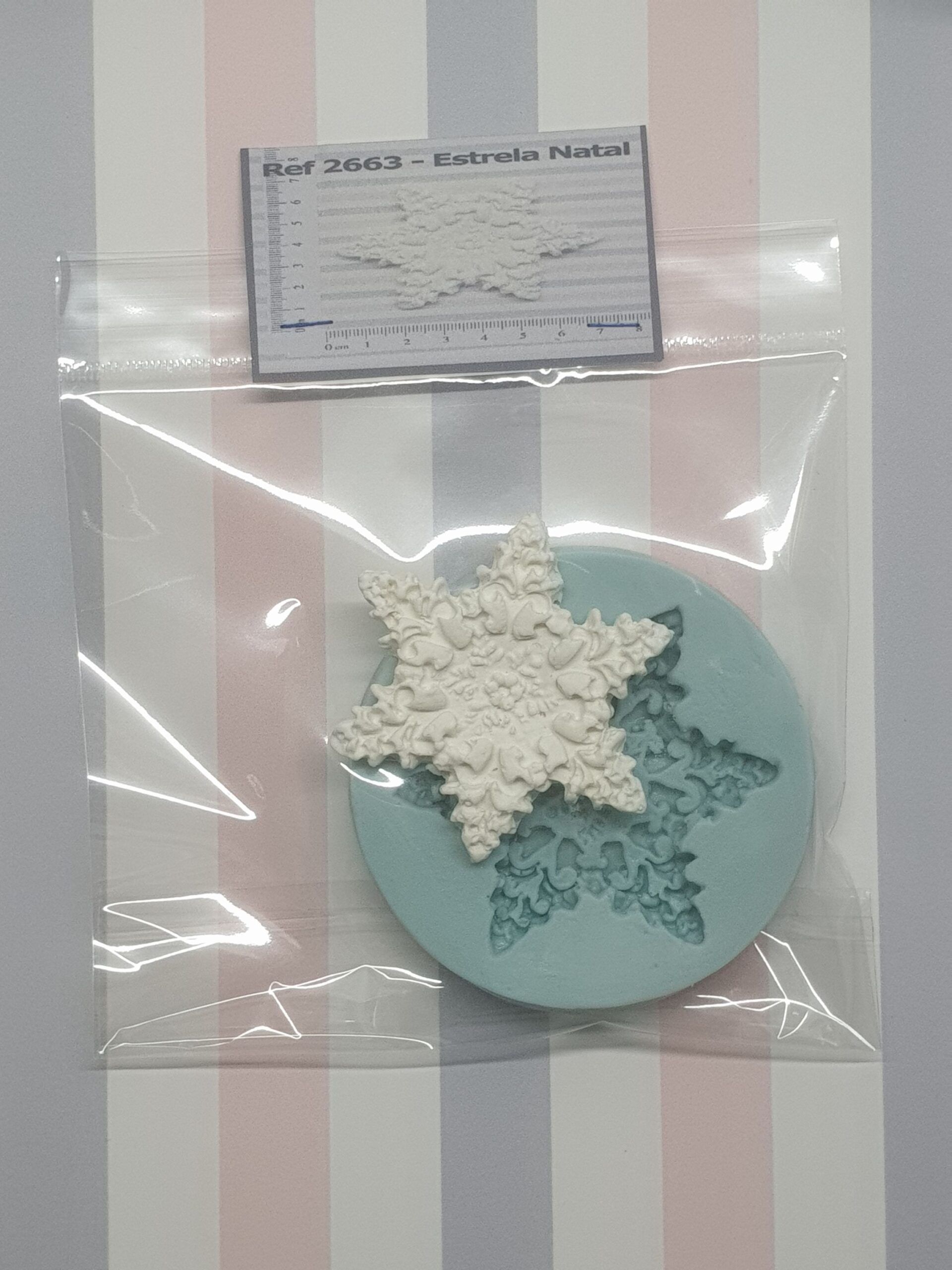 2663 Estrela Natal (3)