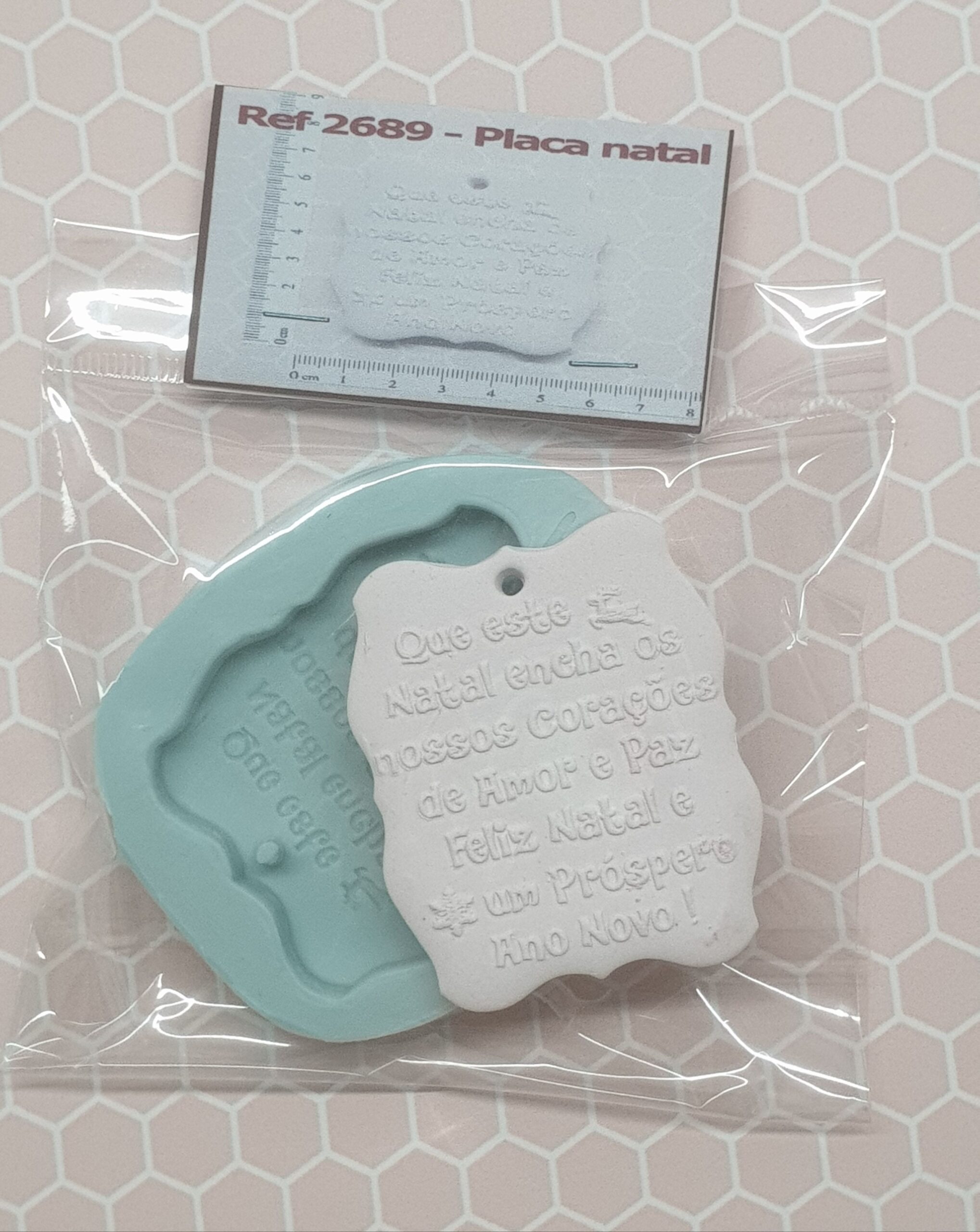 2689 Placa natal (3)