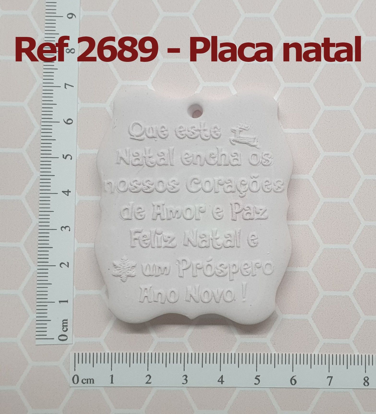 2689 Placa natal