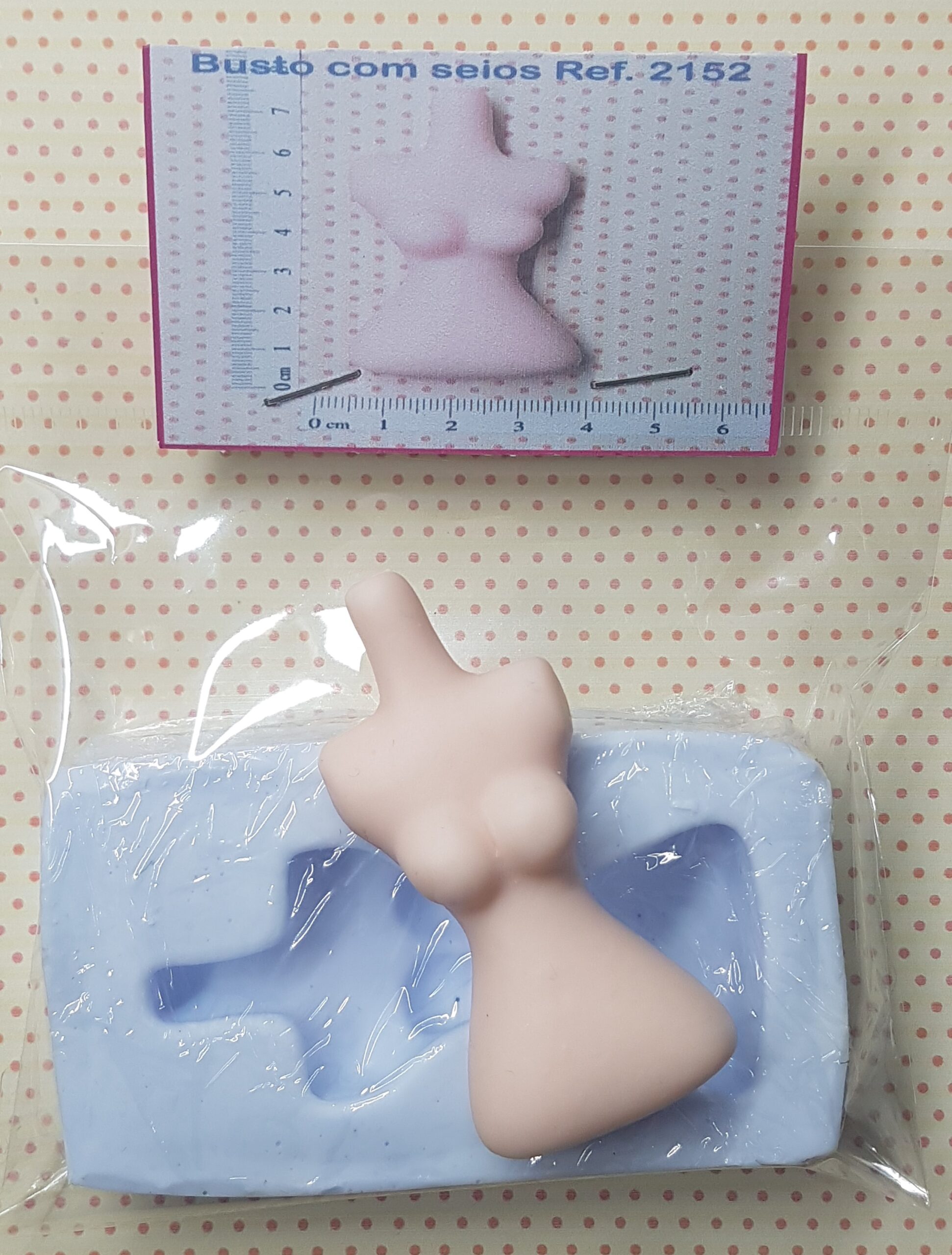 2152 Busto com seios