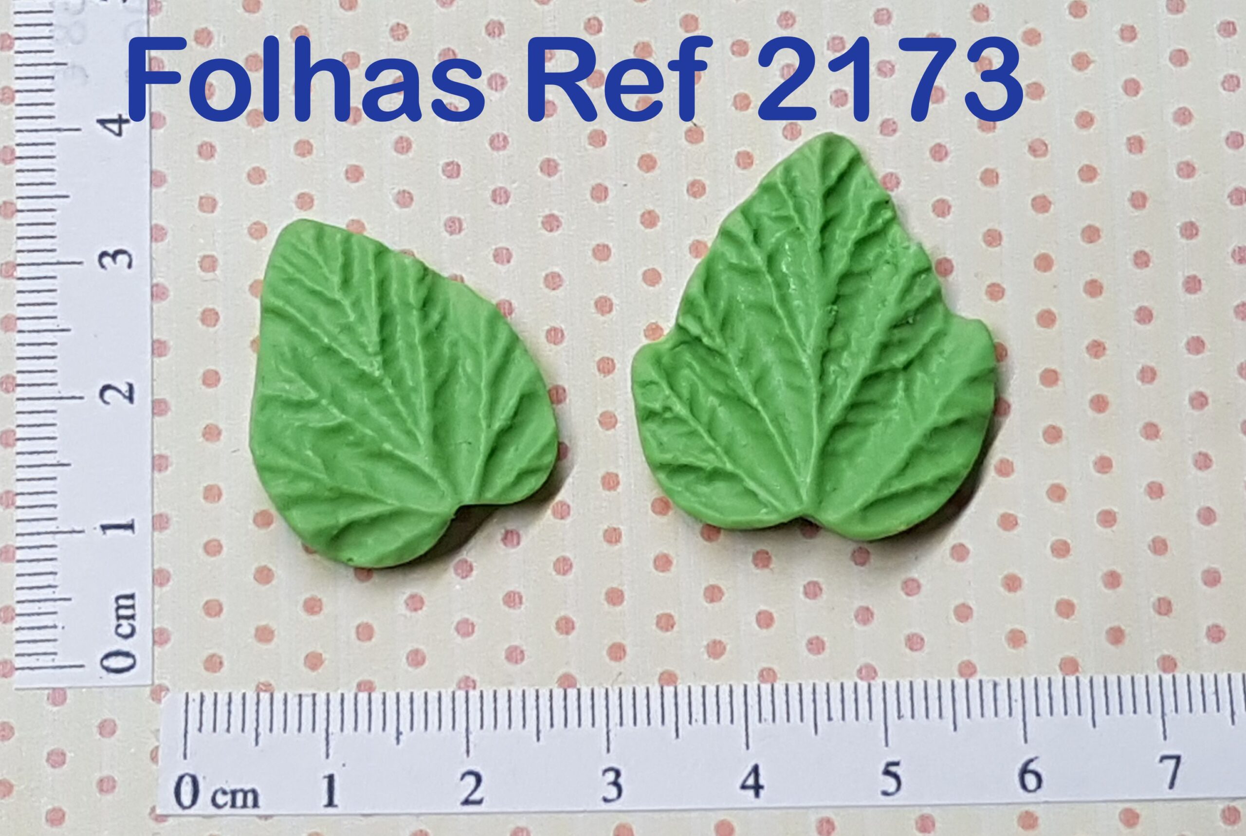 2173 Folhas