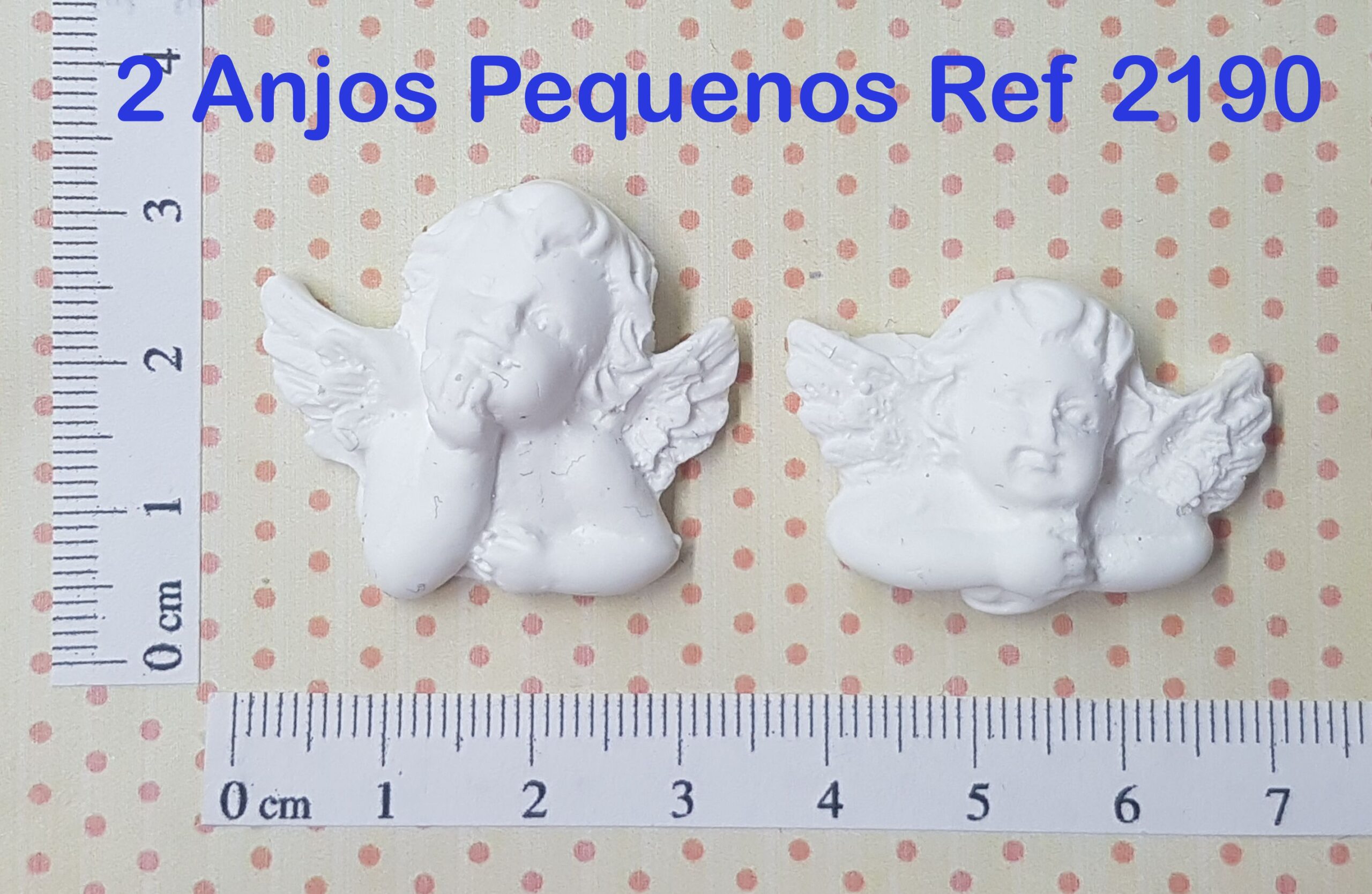 2190 2 Anjos Pequenos