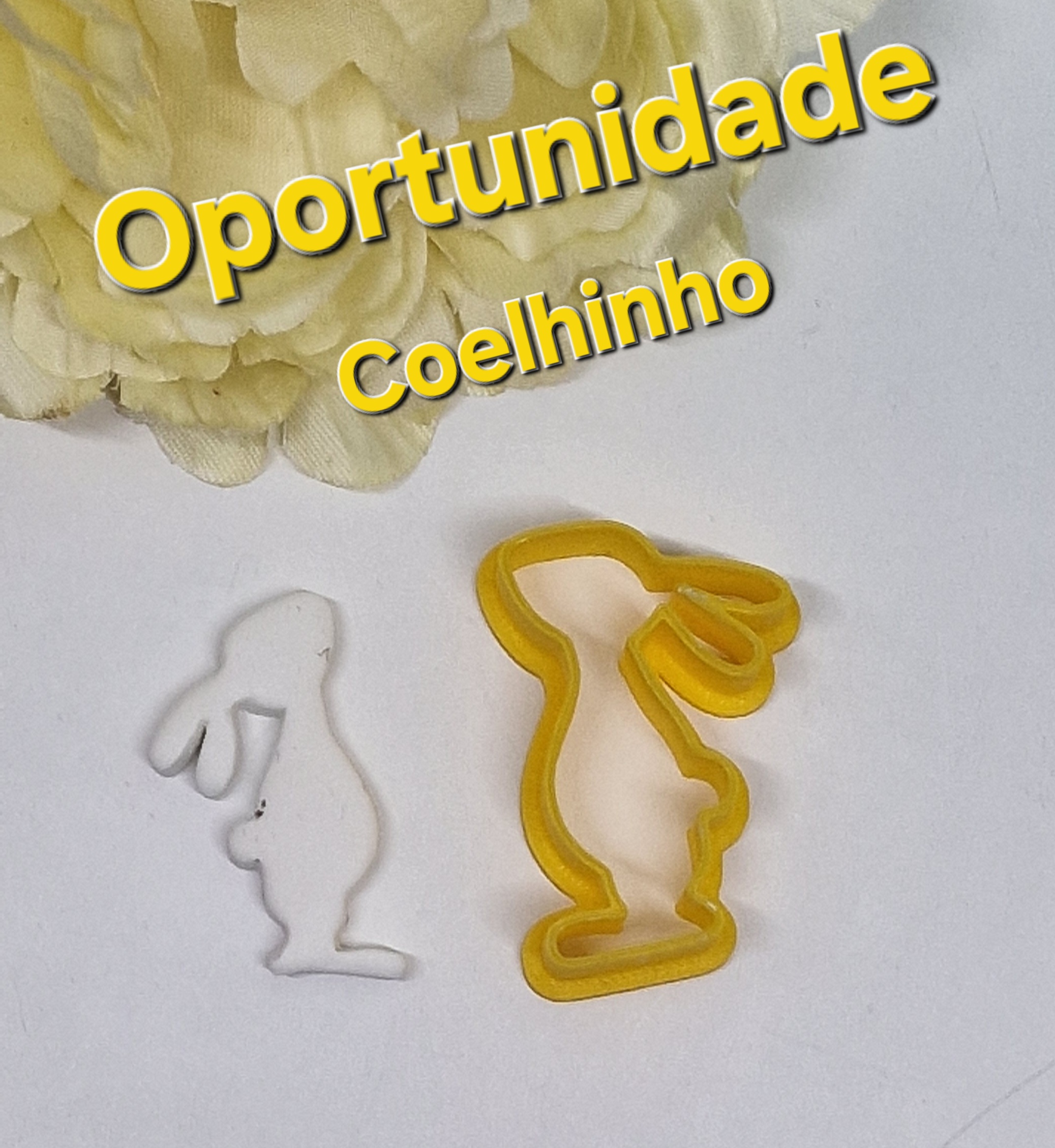 Oportunidade Coelhinho