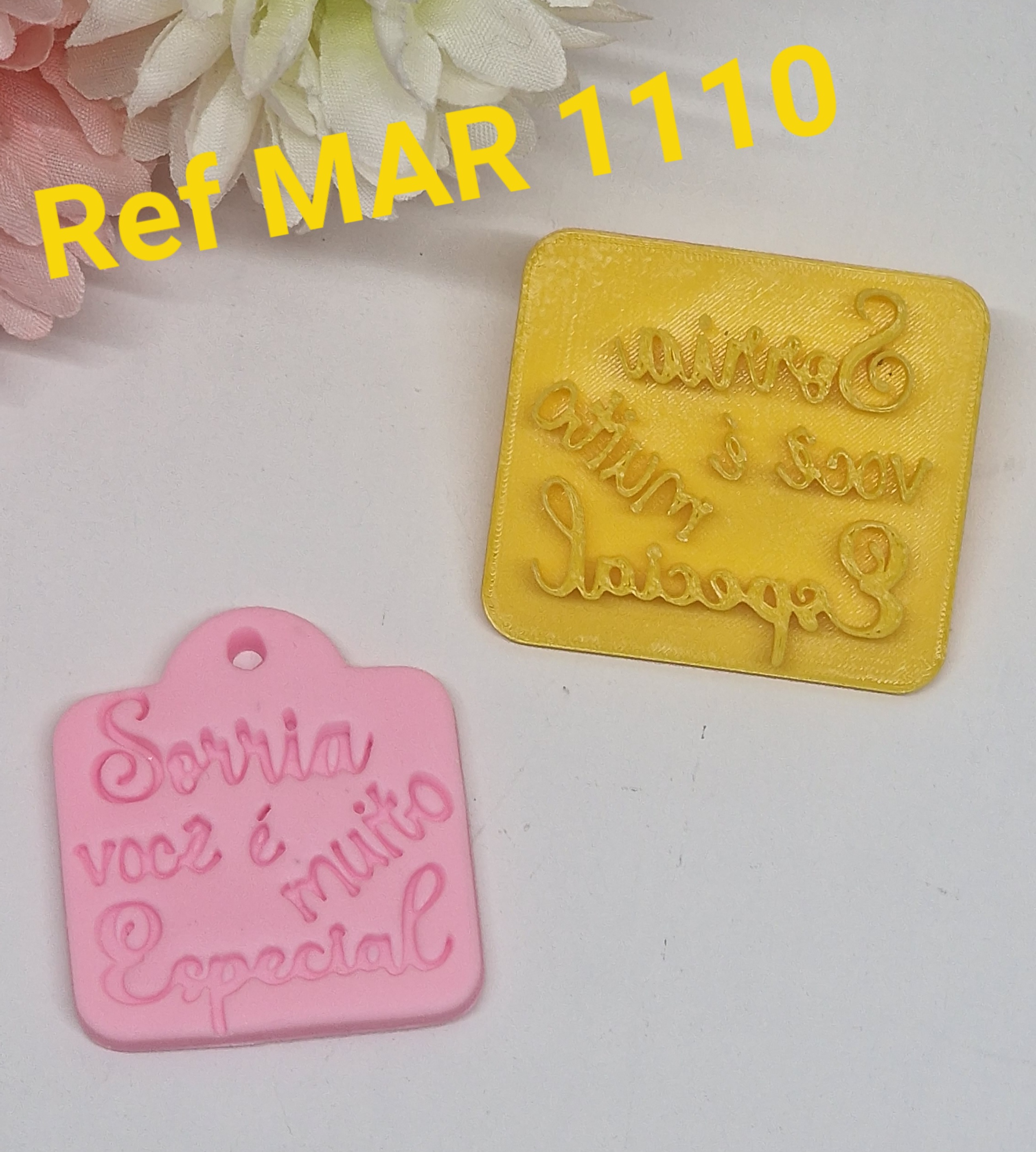 1110 Sorria Voce e muito especial