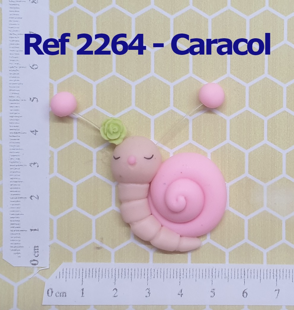 2264 Caracol