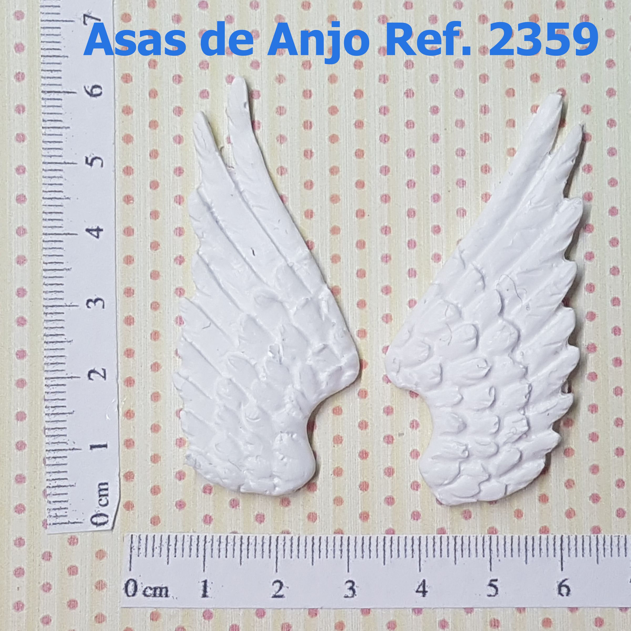 2359 Asas de Anjo