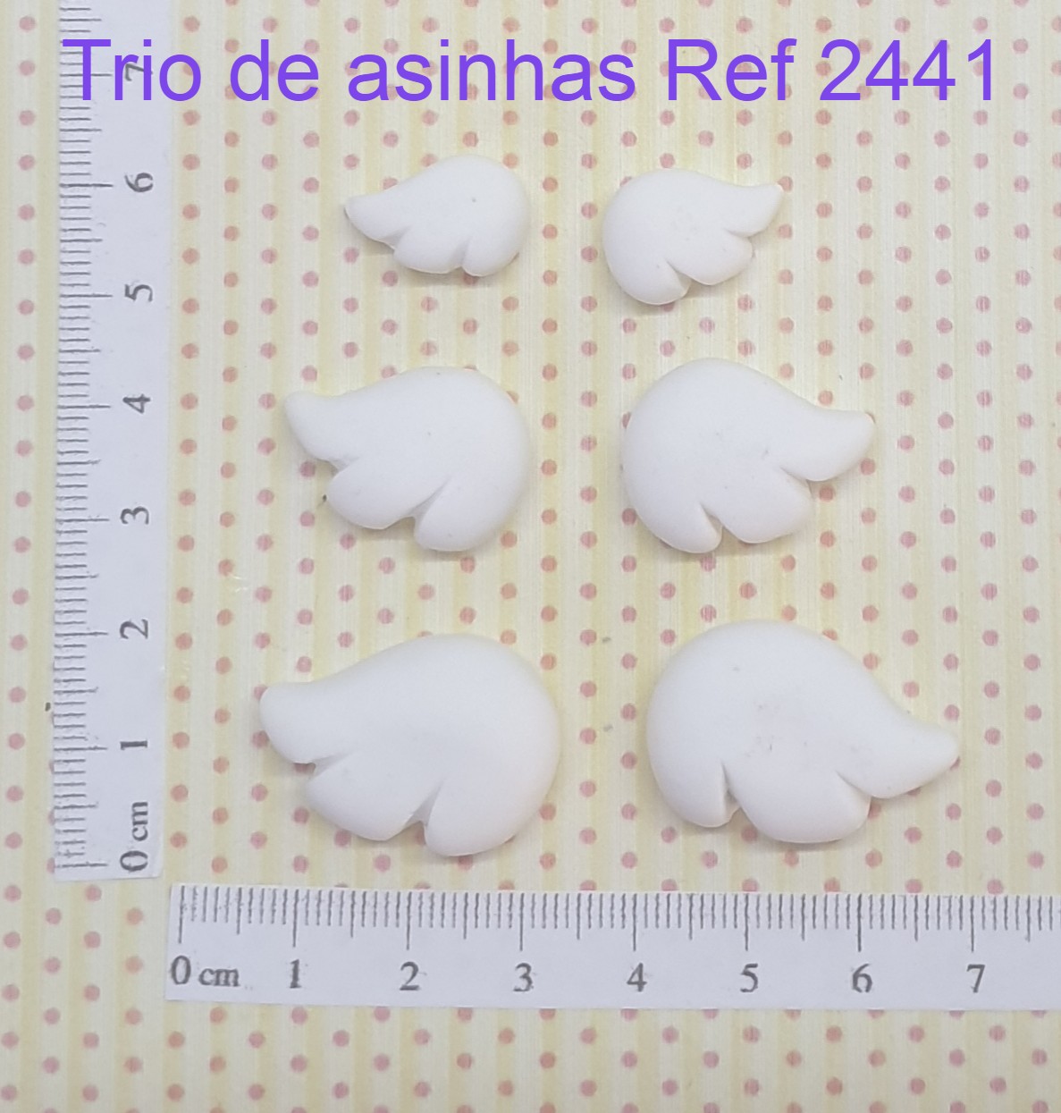 2441 Trio de asinhas (3)