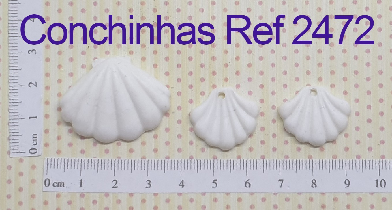 2472 Conchinhas (3)