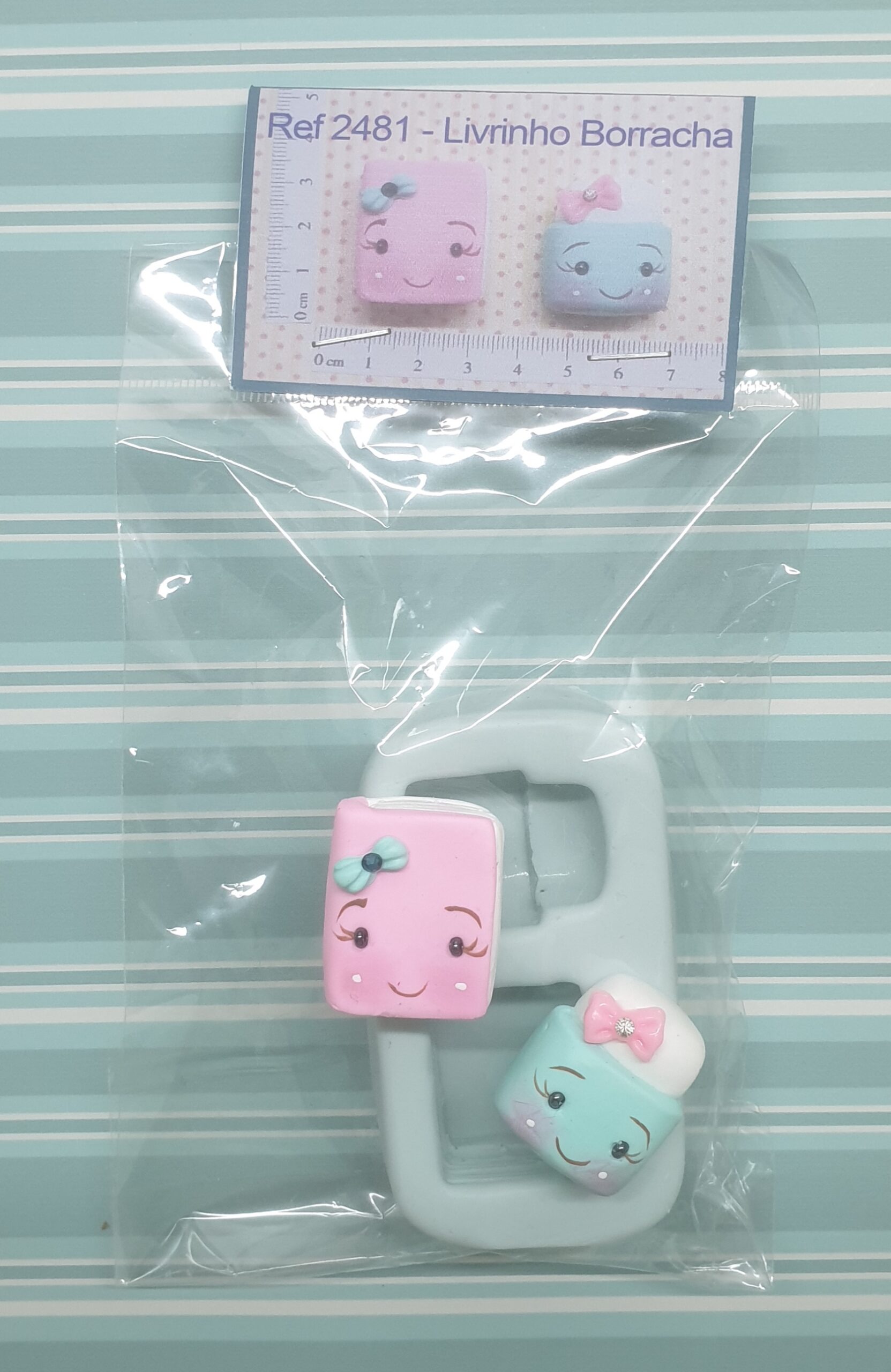 2481 Livrinho Borracha