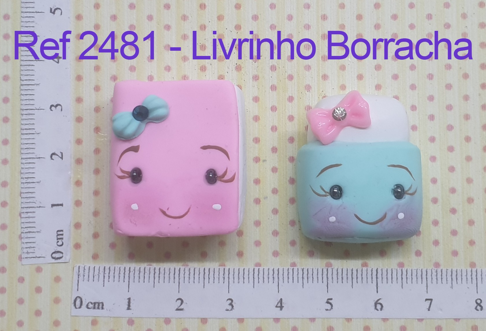 2481 Livrinho Borracha