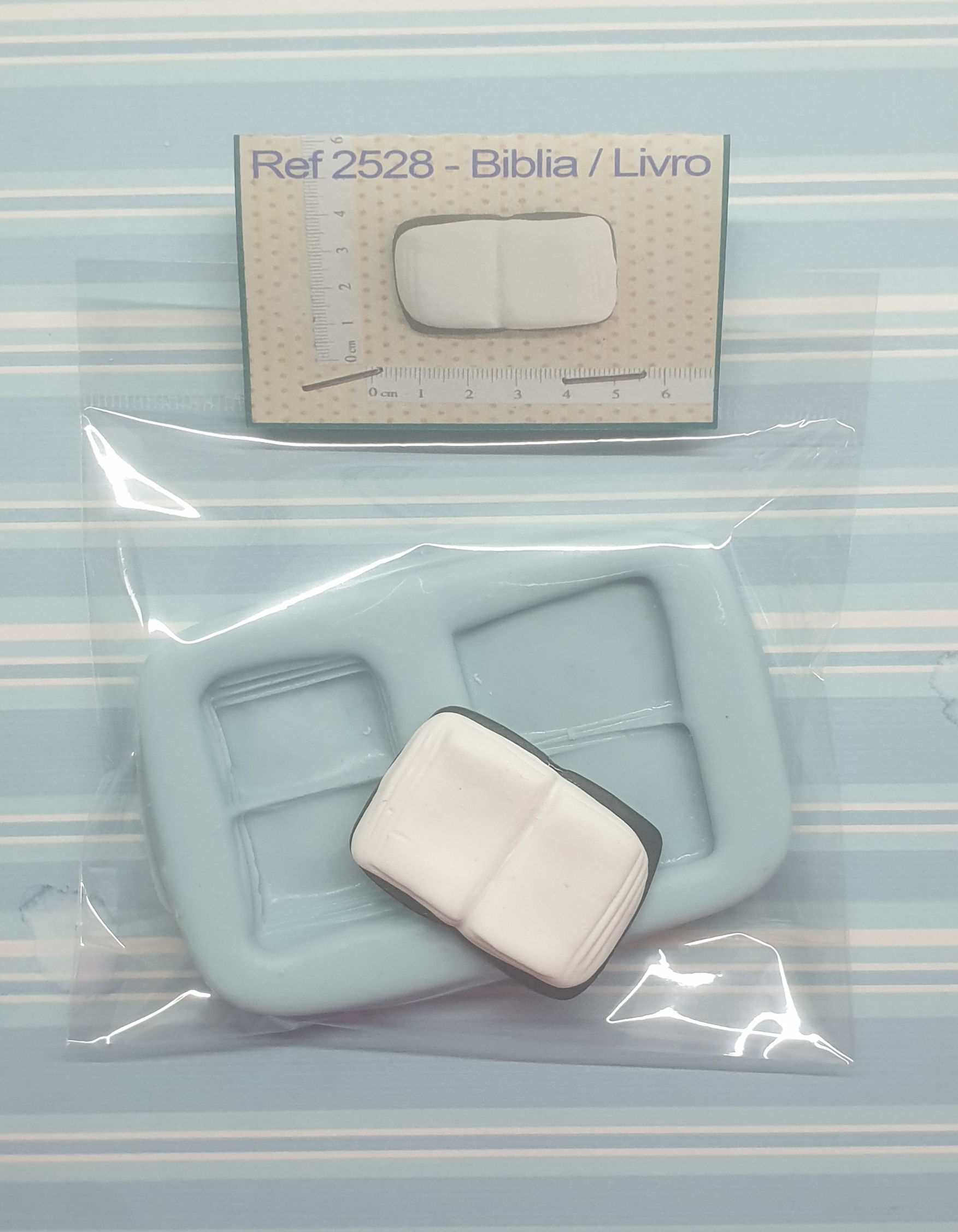 2528 Biblia Livro
