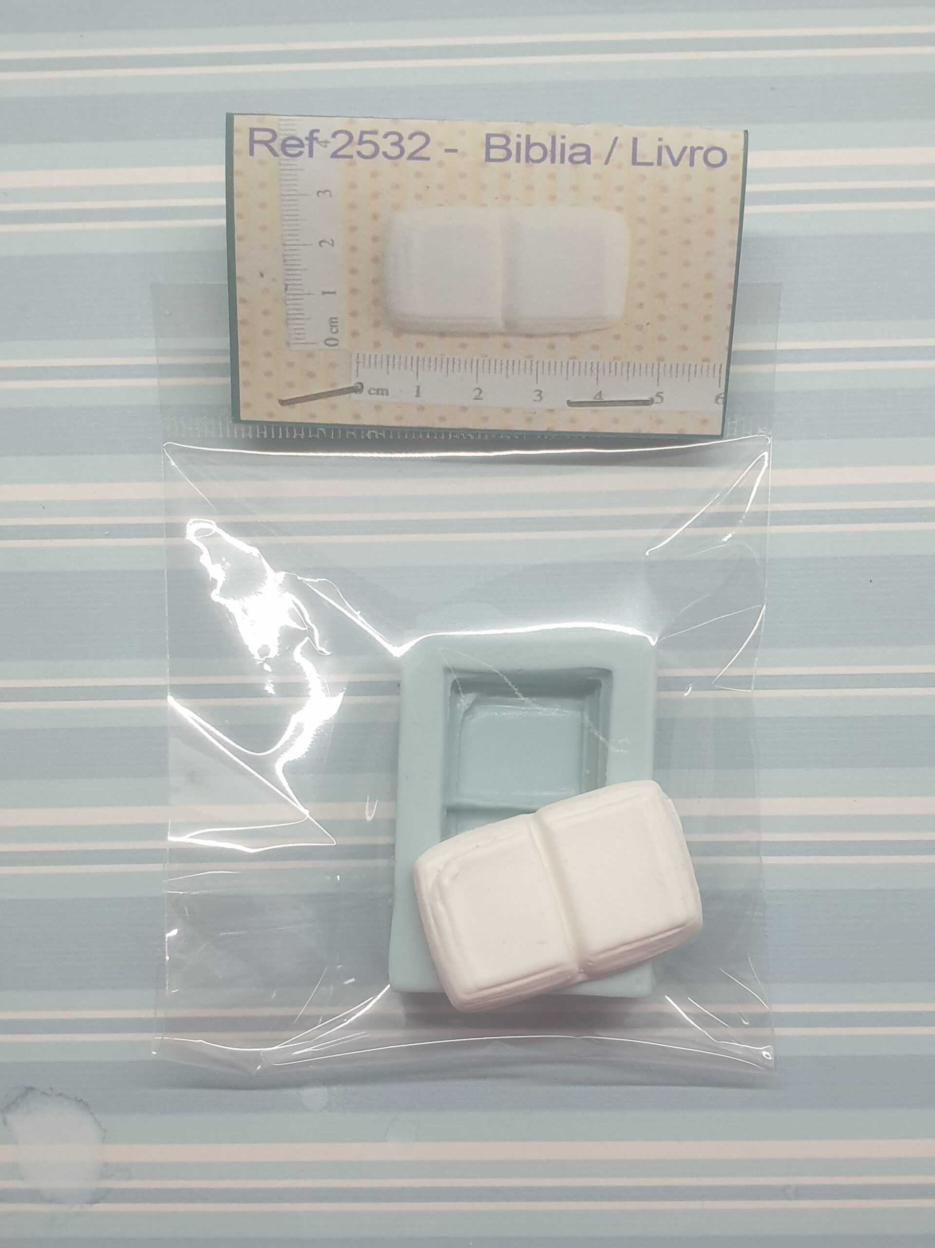 2532 Biblia Livro