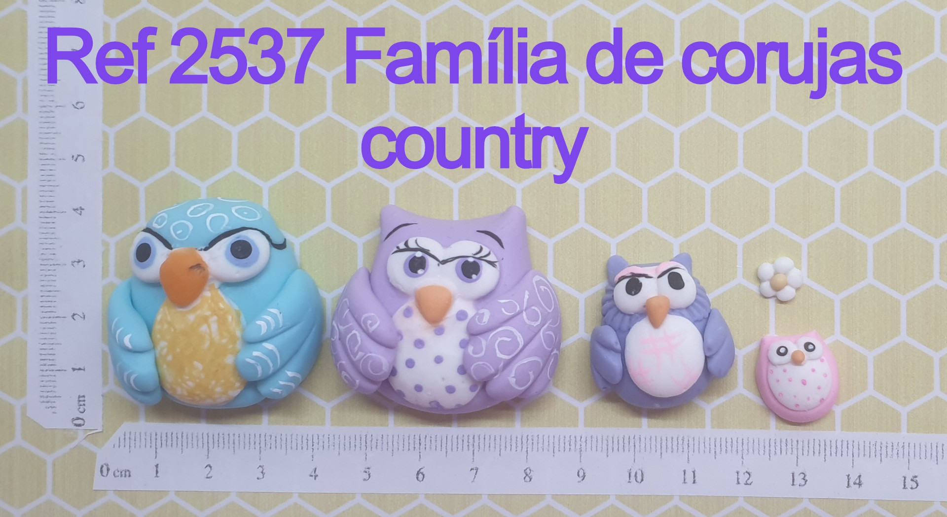 2537 Família de corujas country