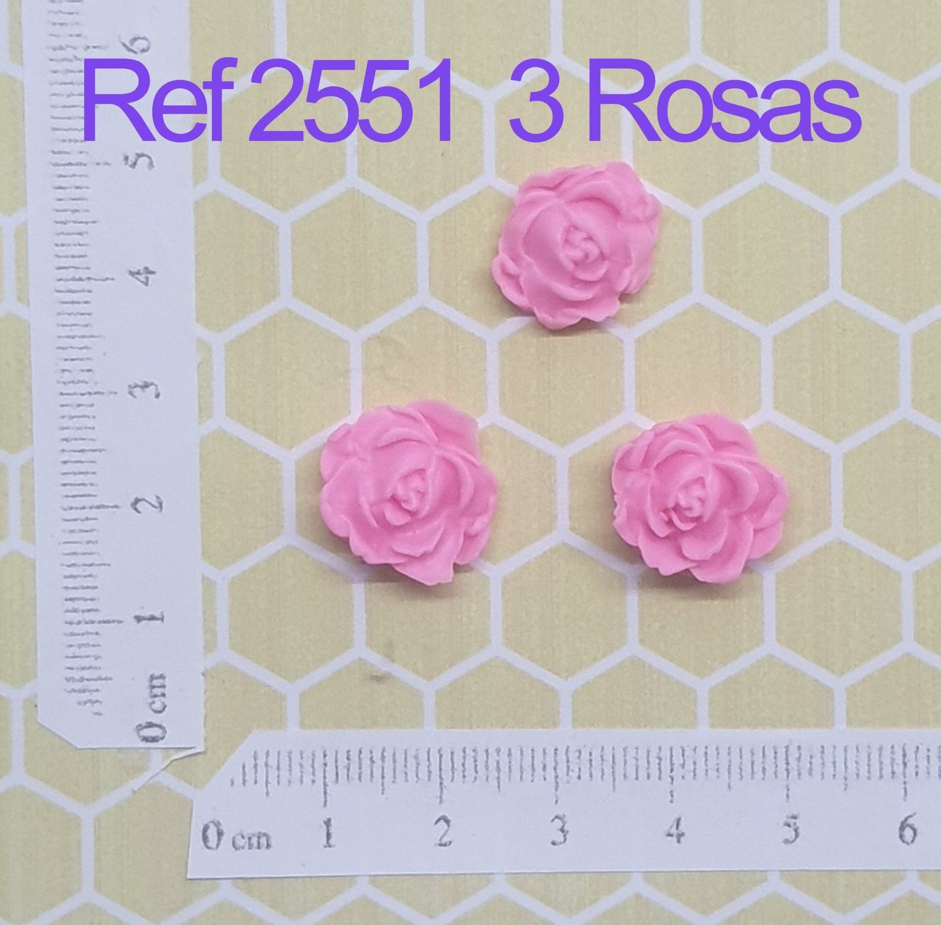 2551 3 Rosas