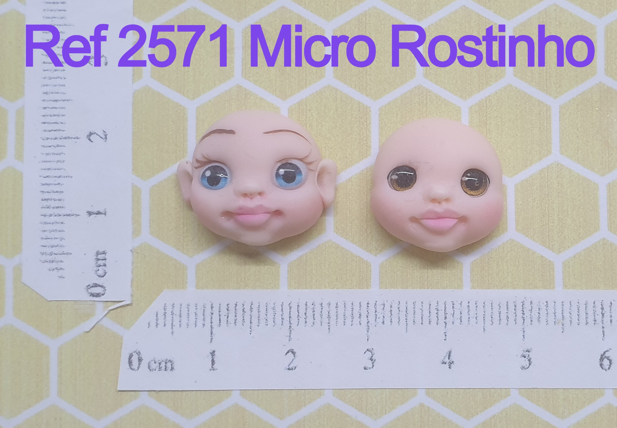 2571 Micro Rostinho