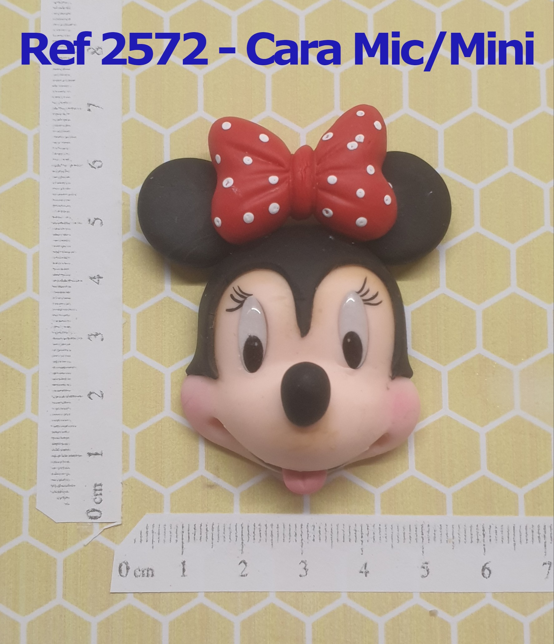 2572 Cara Mic_mini (3)