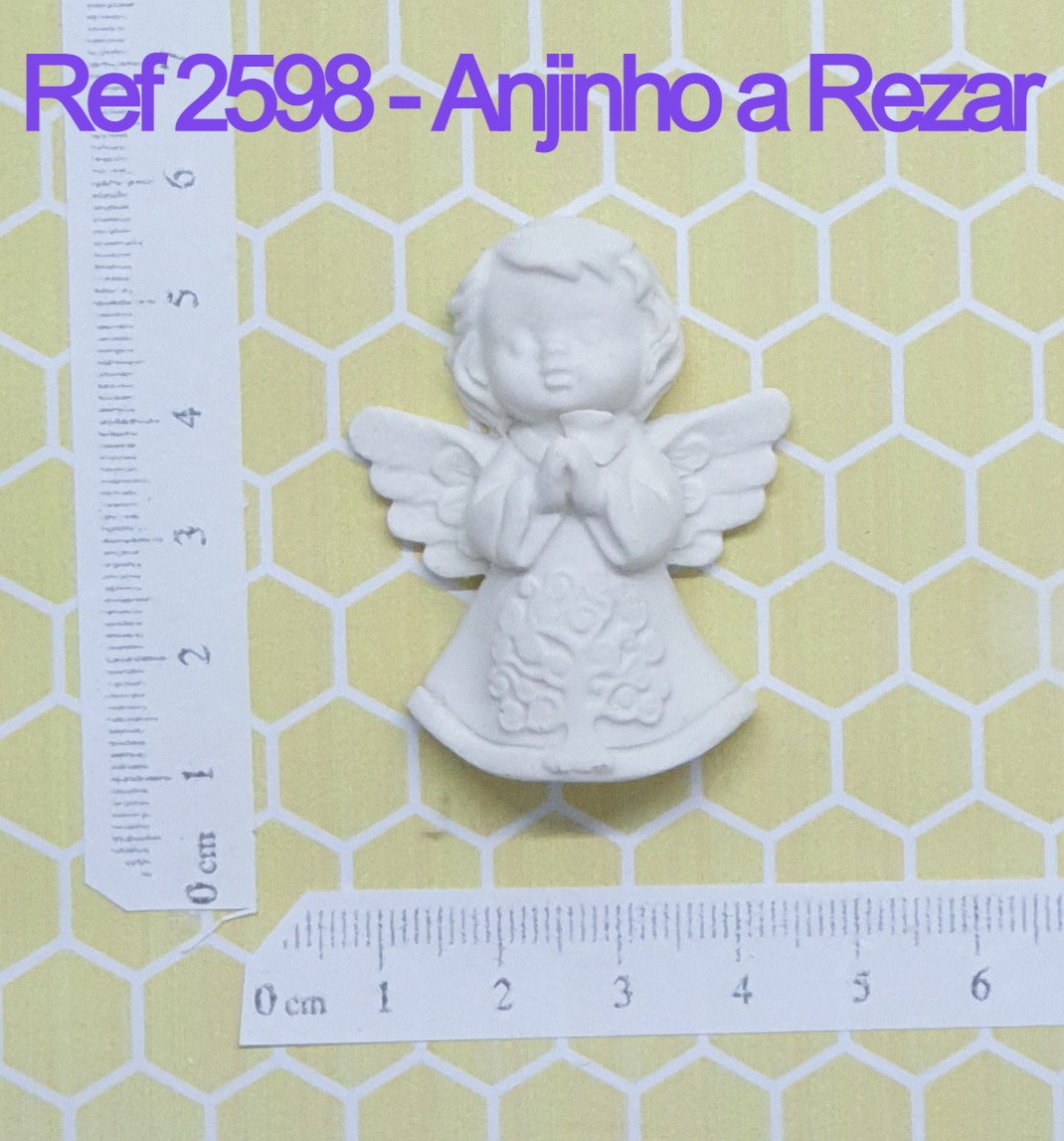 2598 Anjinho a Rezar