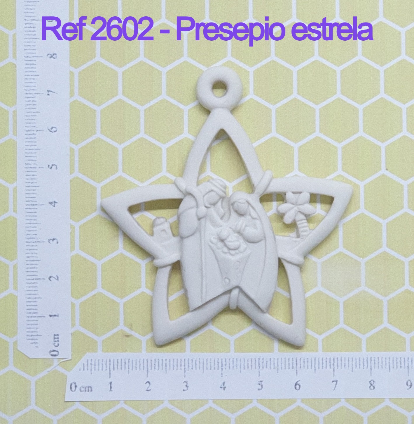 2602 Presepio estrela (2)