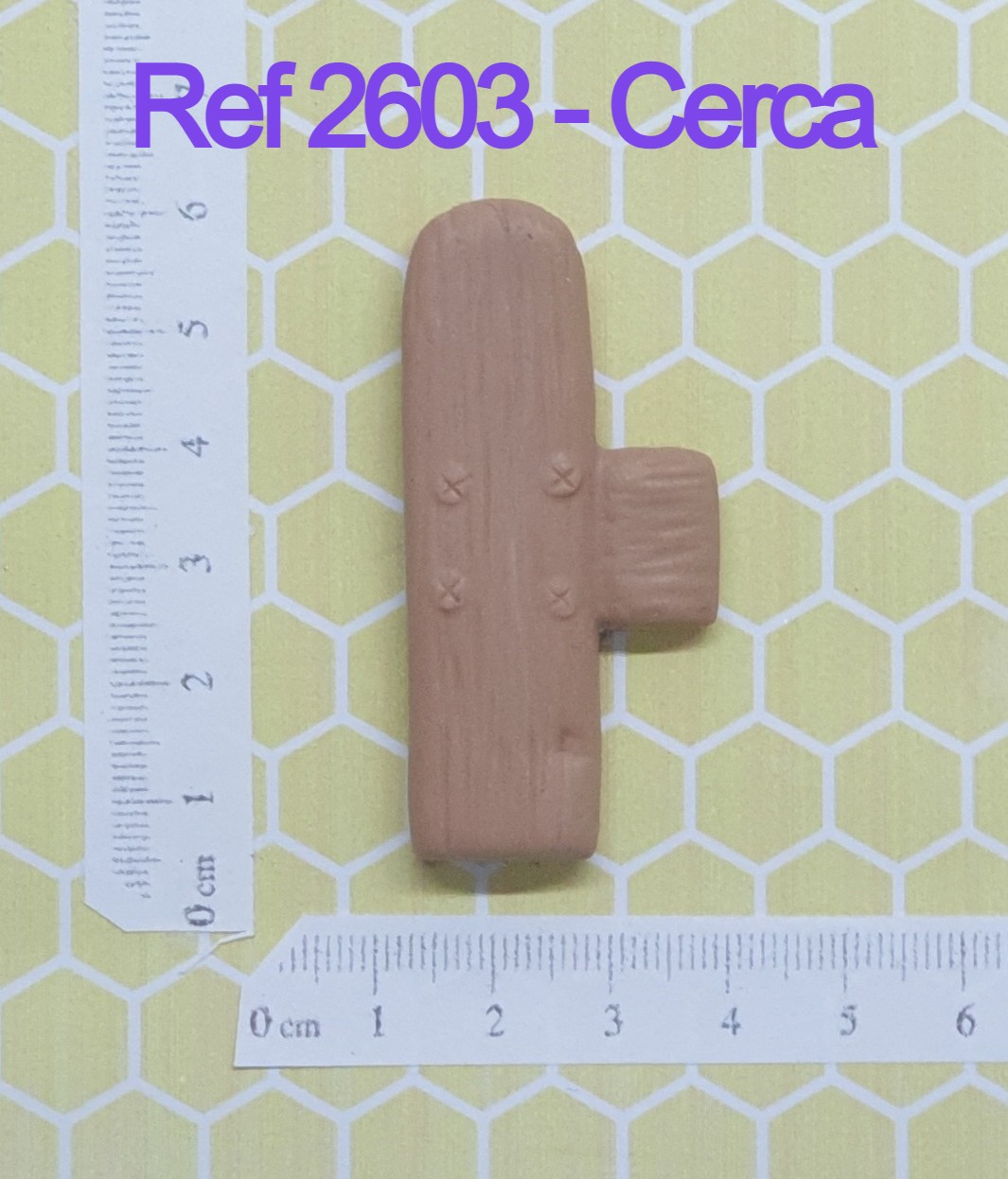2603 Cerca (2)