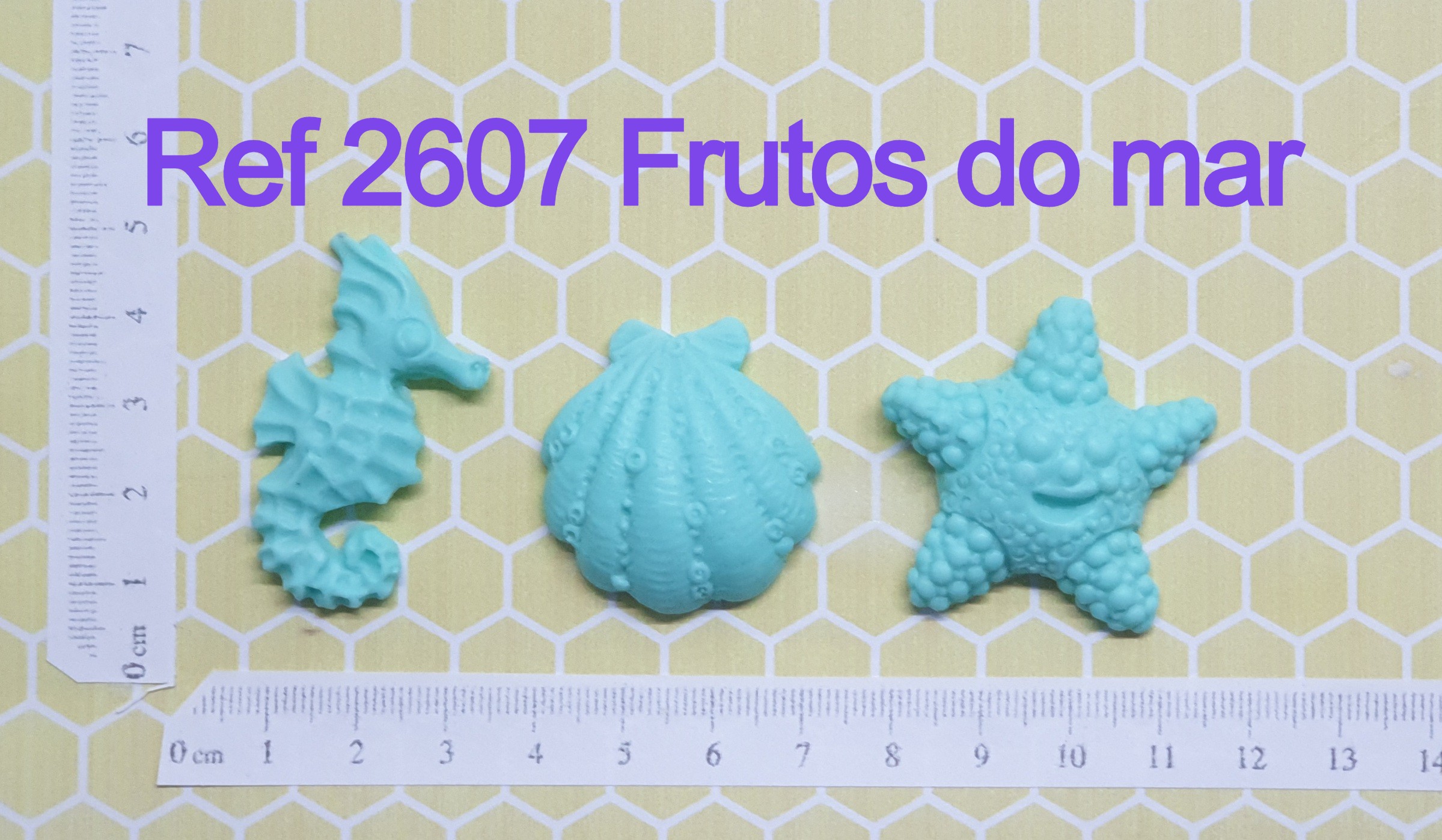 2607 Frutos do mar