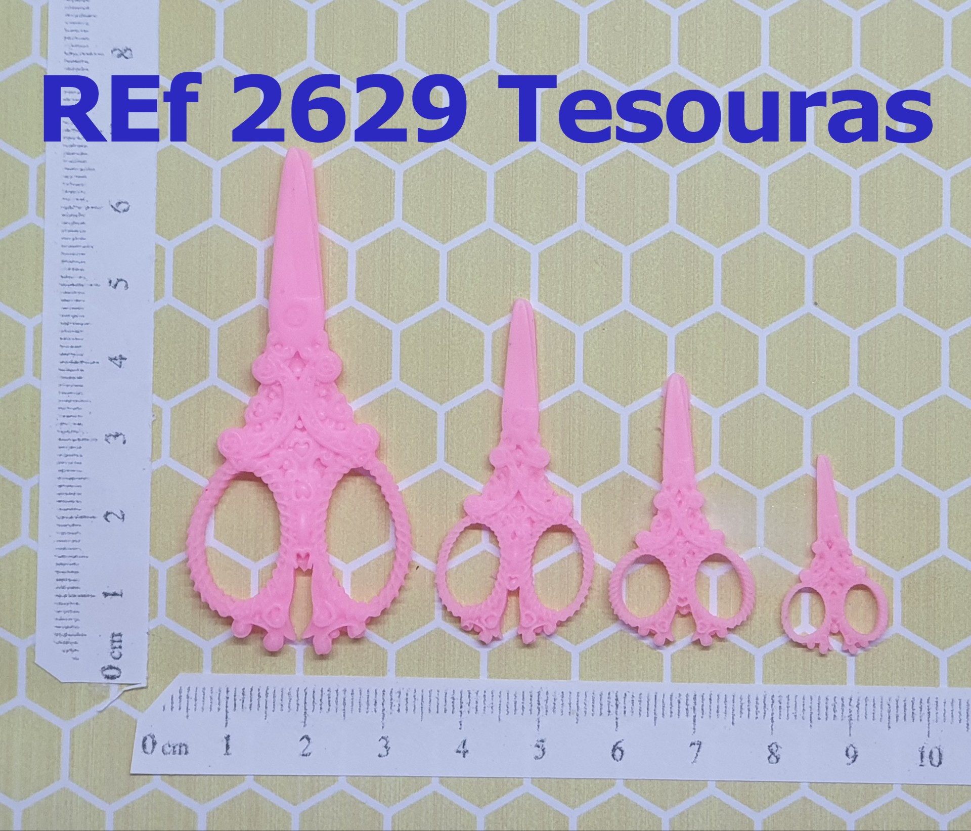2629 Tesouras