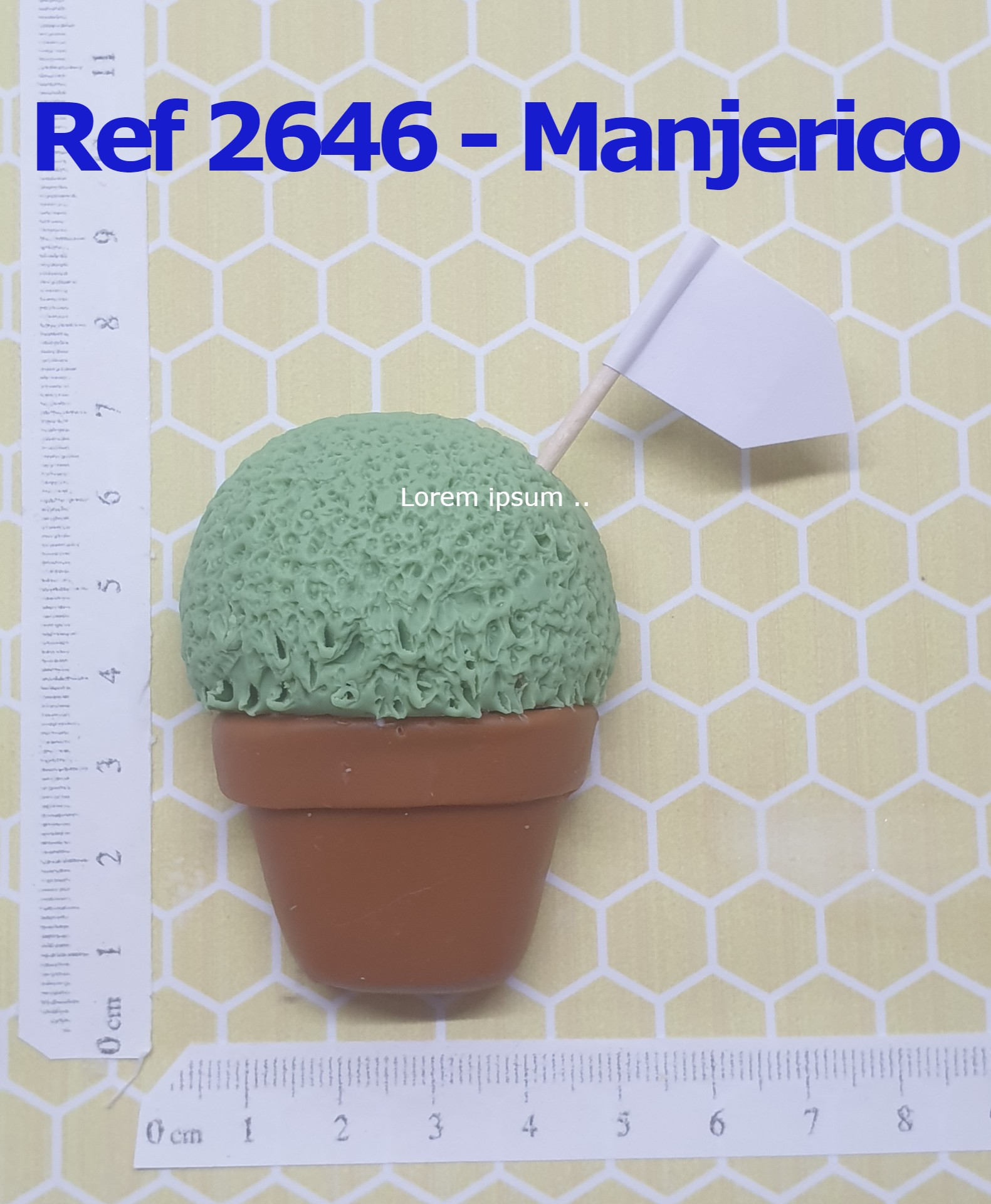 2646 Manjerico