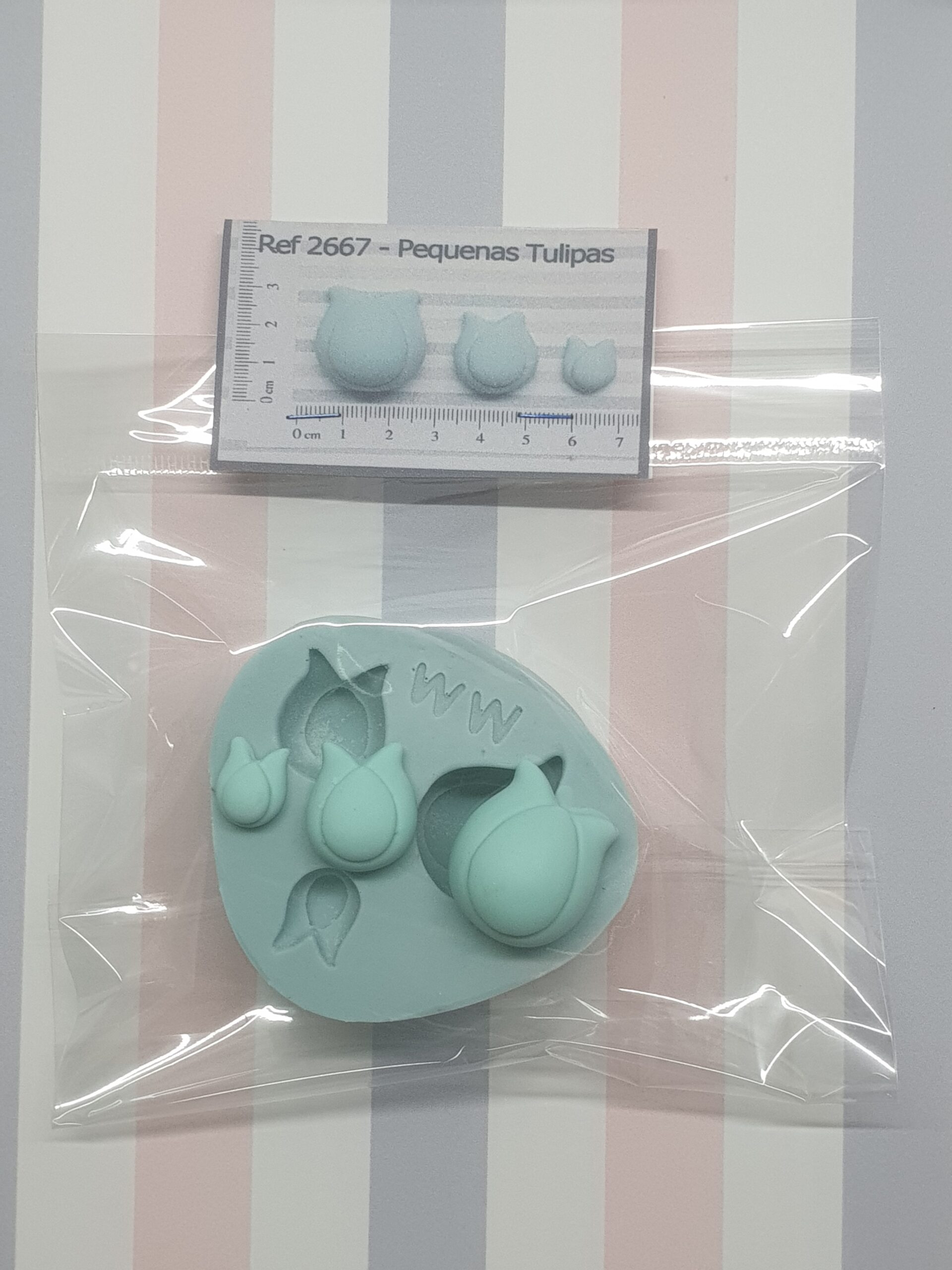 2667 Pequenas Tulipas (3)