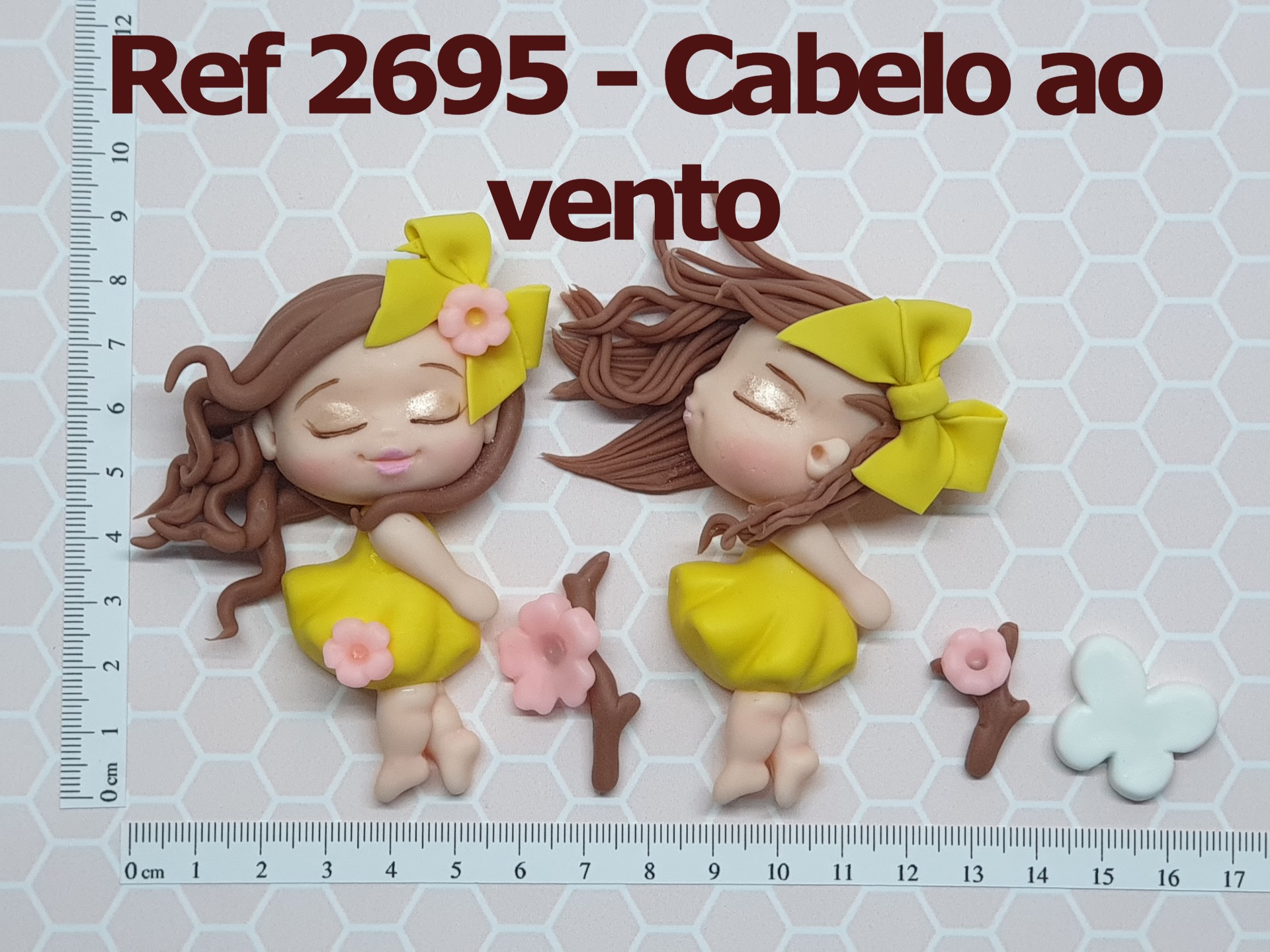 2695 Cabelo ao vento