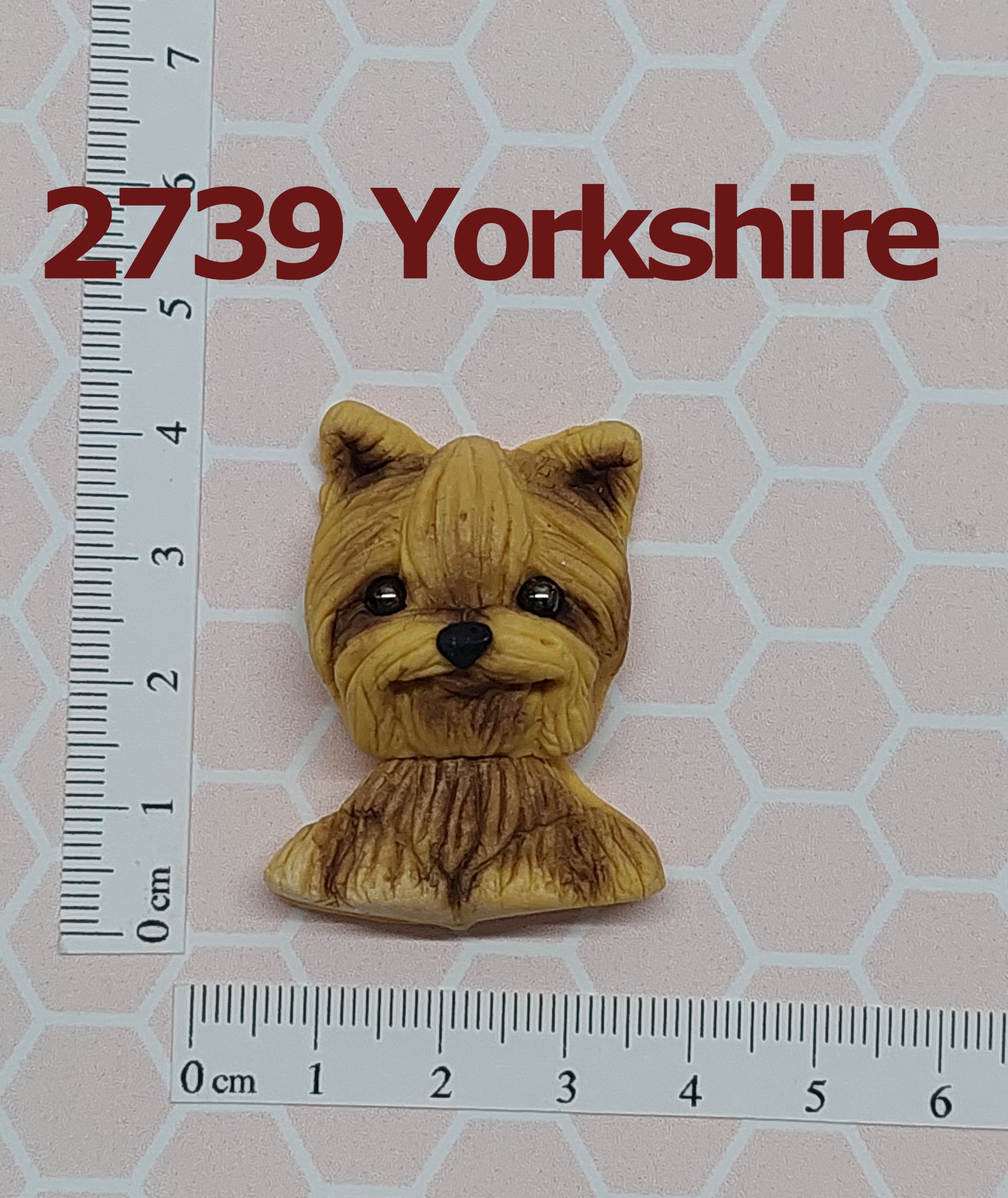 2739 Yorkshire 1