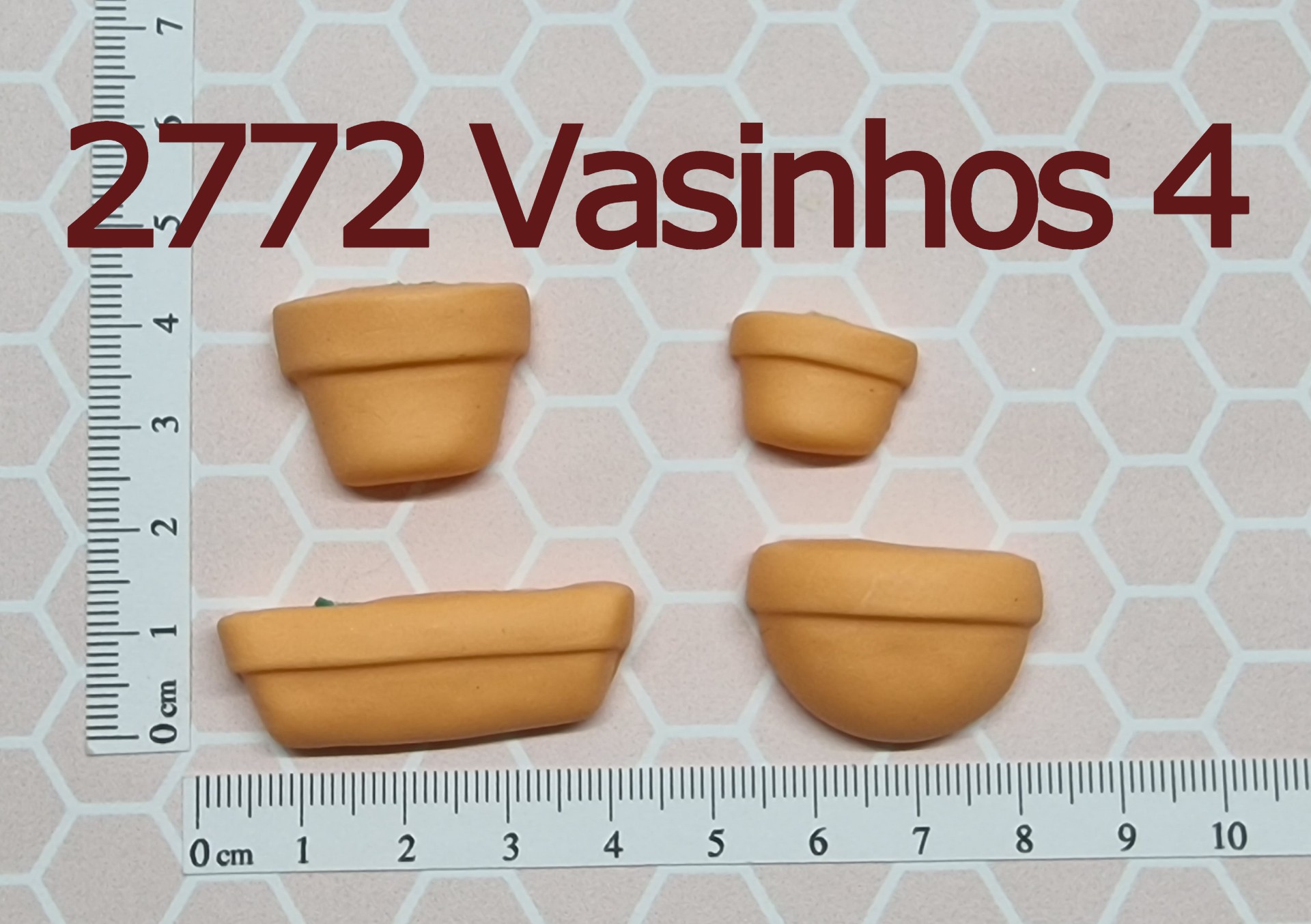 2772 Vasinhos 4 1