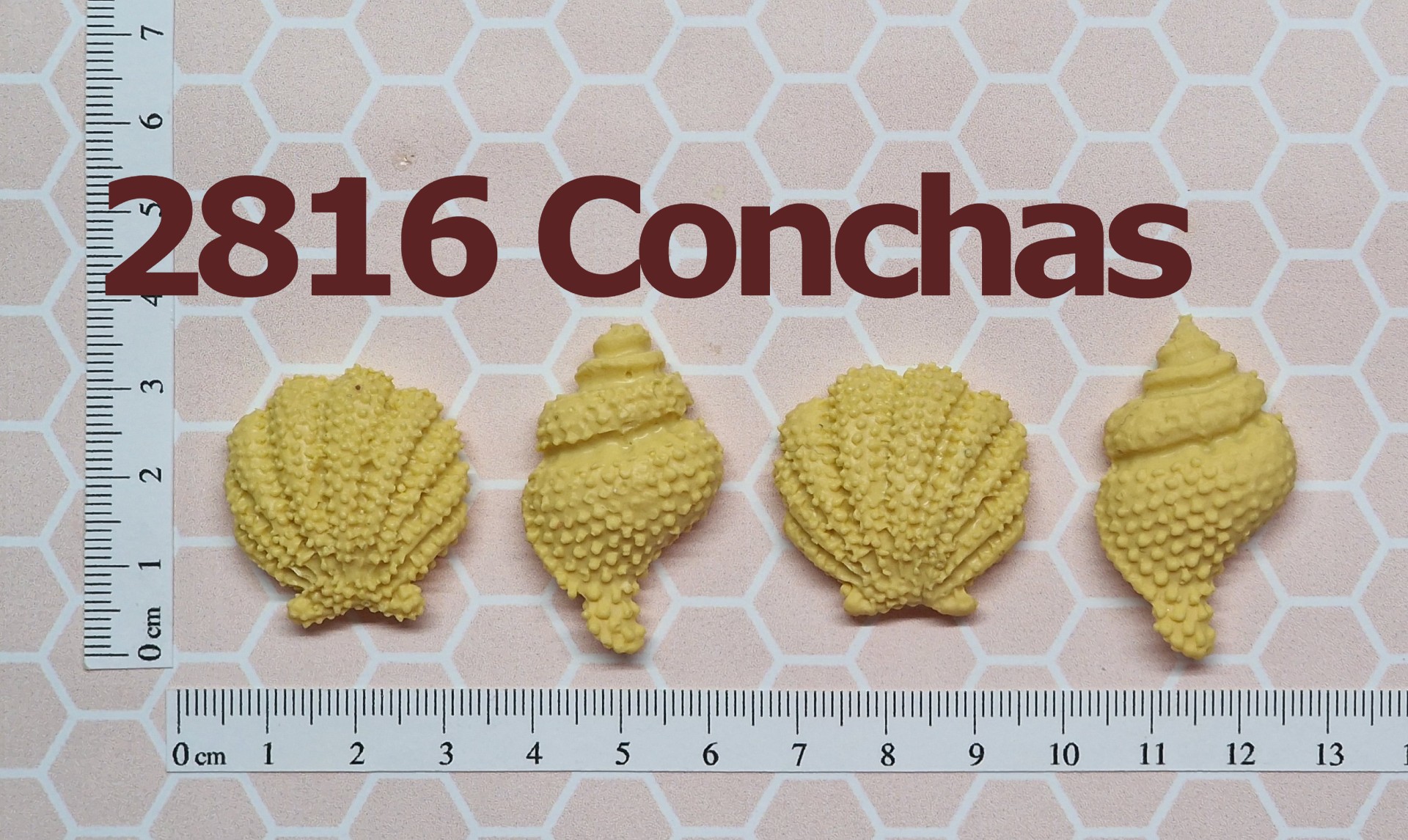 2816 Conchas