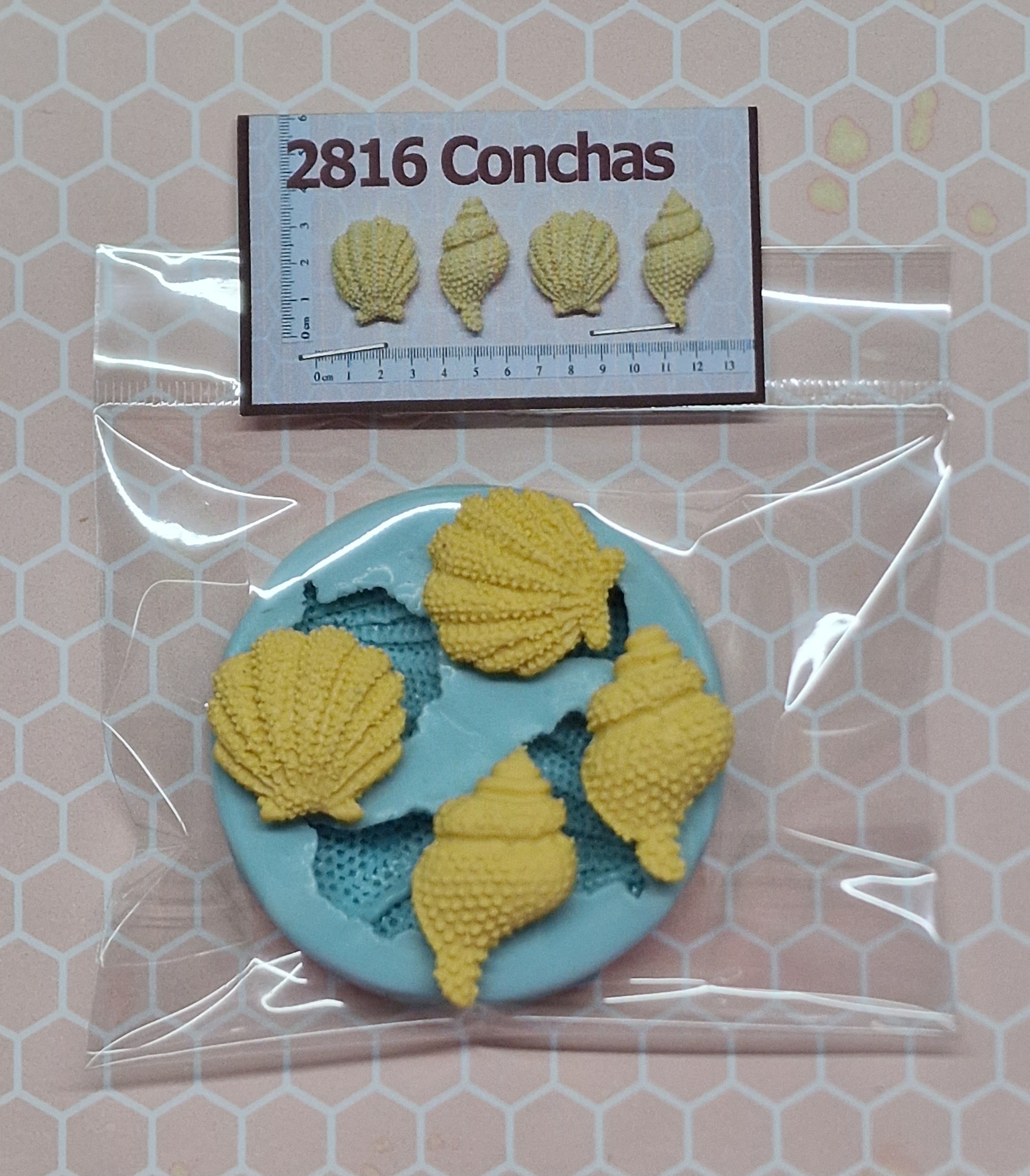 2816 Conchas