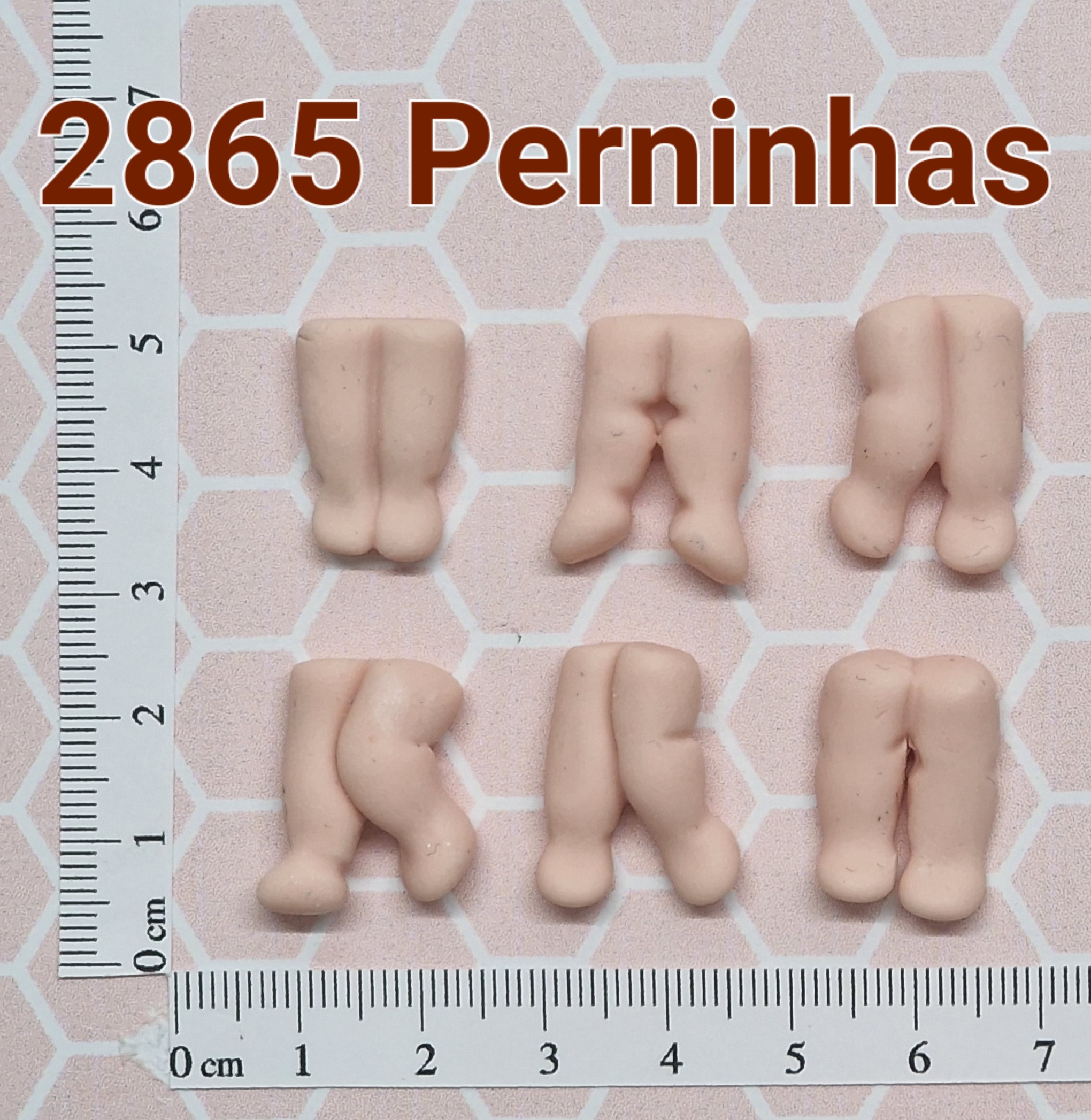 2865 Perninhas