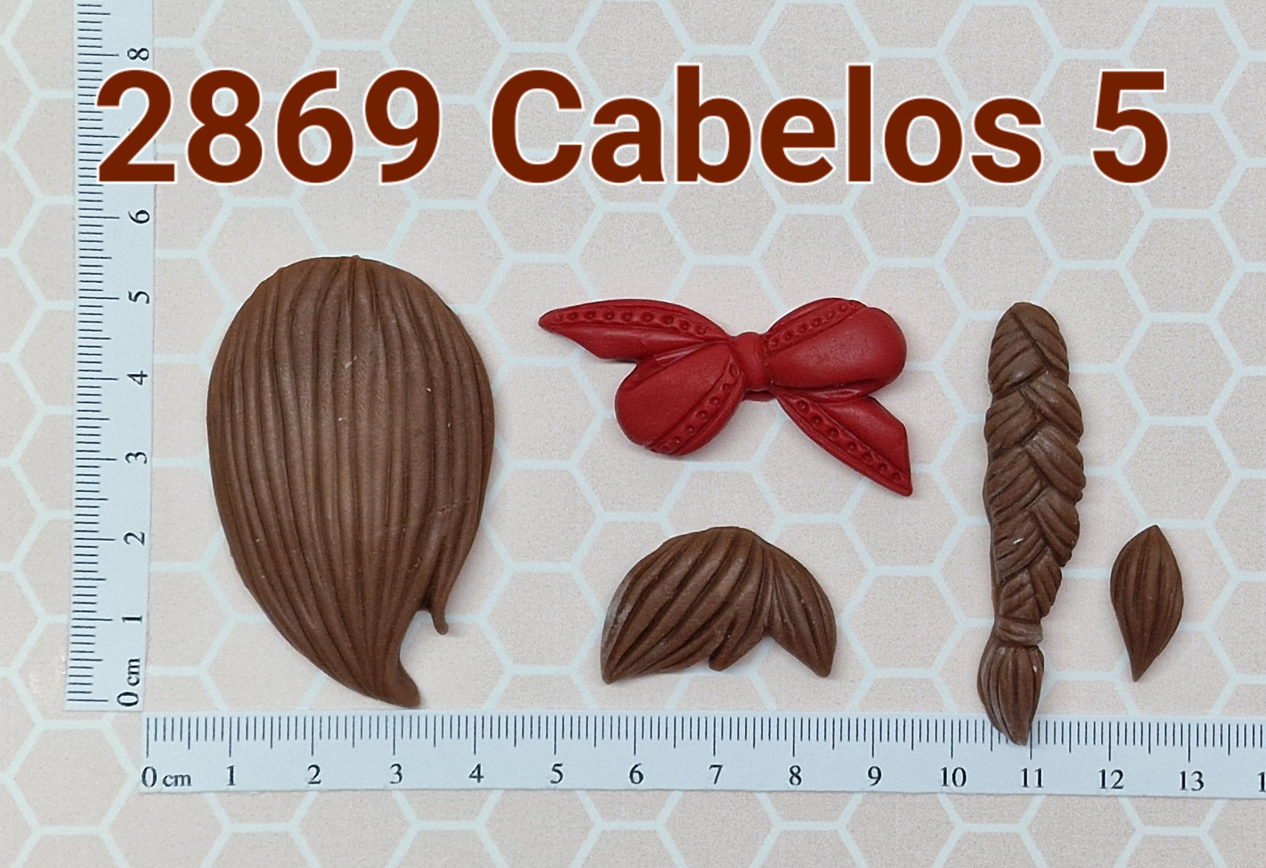 2869 Cabelos 5