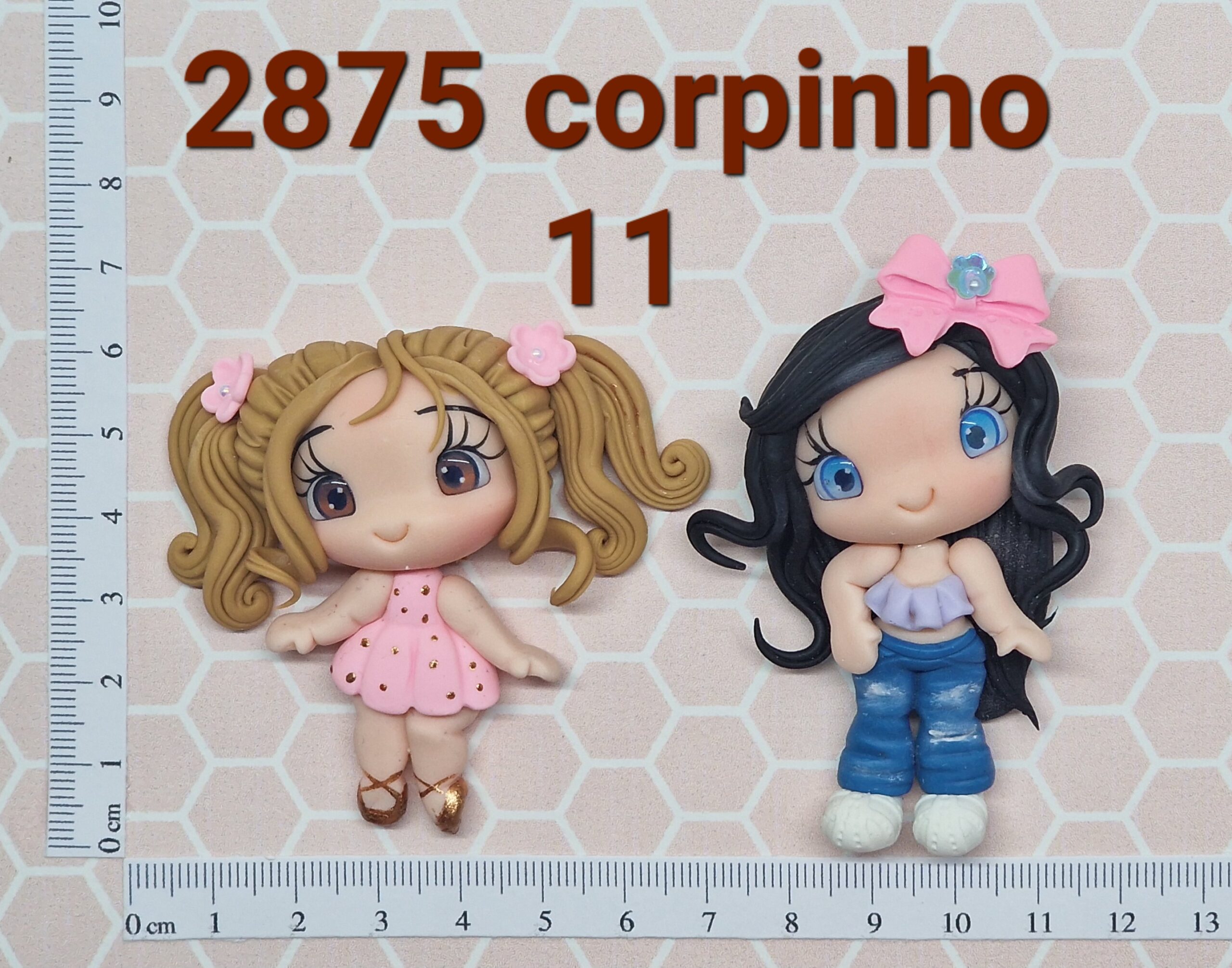 2875 corpinho 11