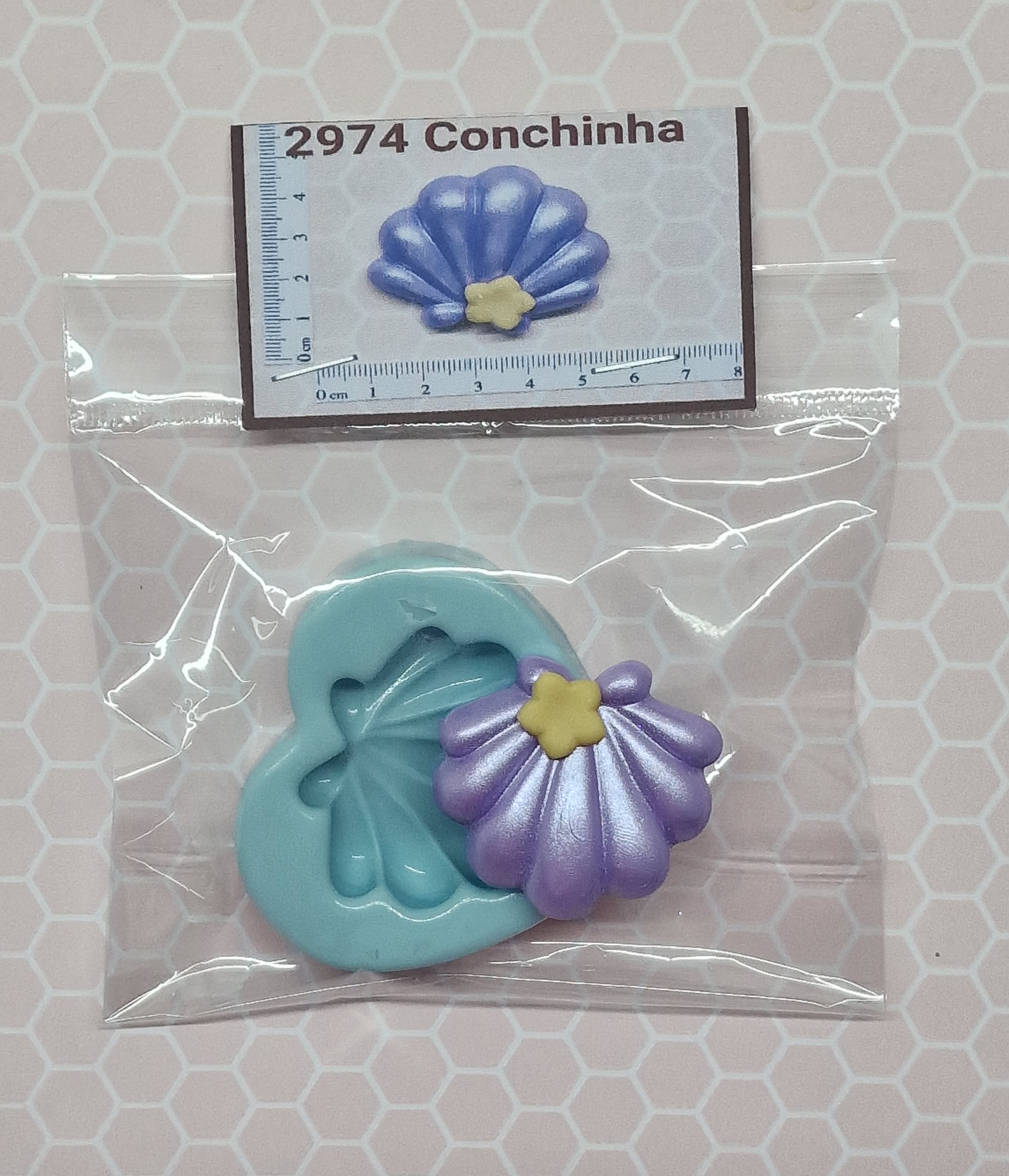 2974 Conchinha (2)