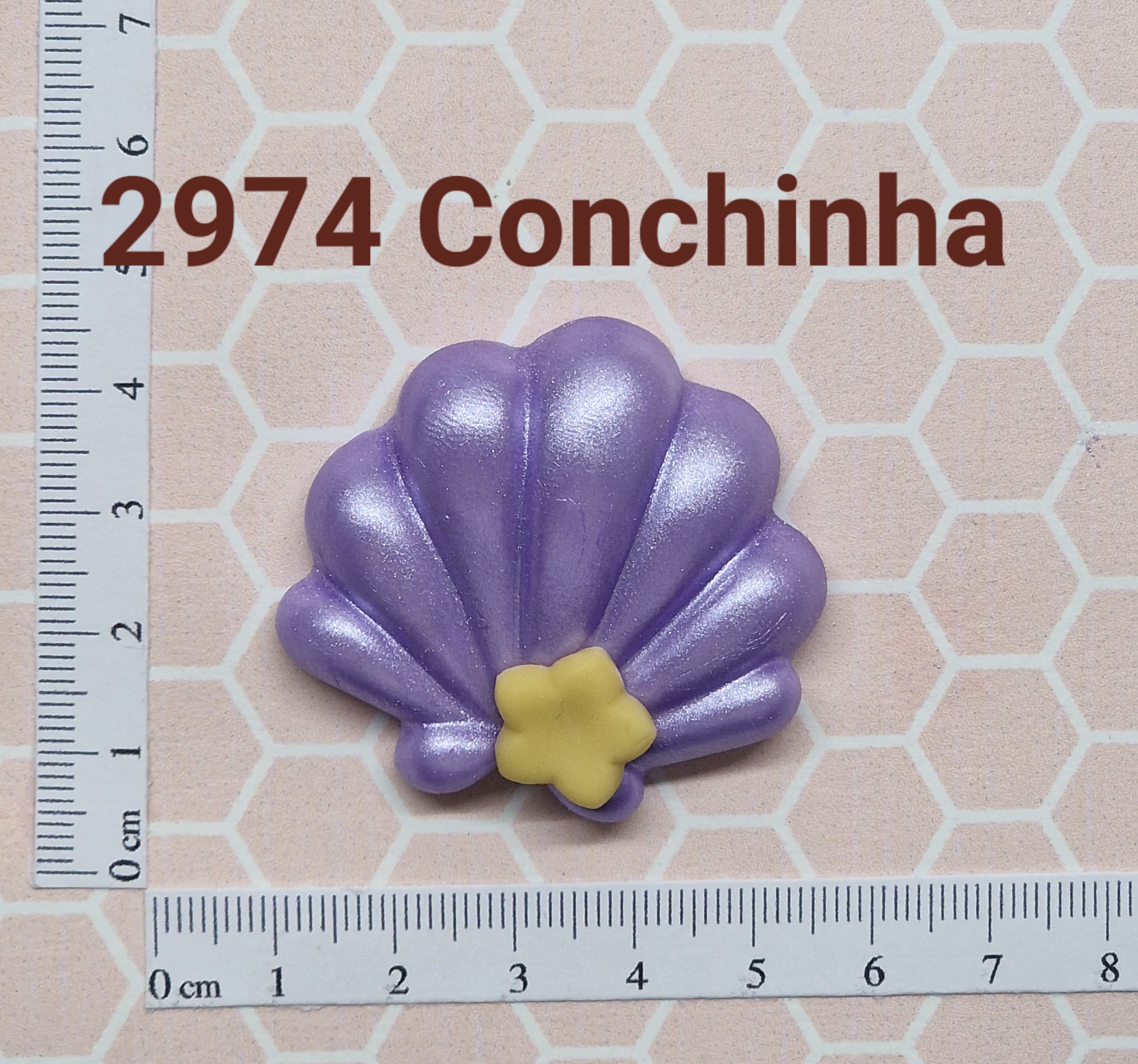 2974 Conchinha